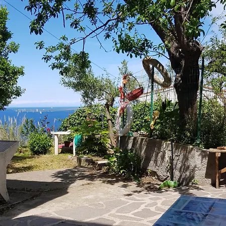 La Conchiglia Patresi - Goelba Апартаменты